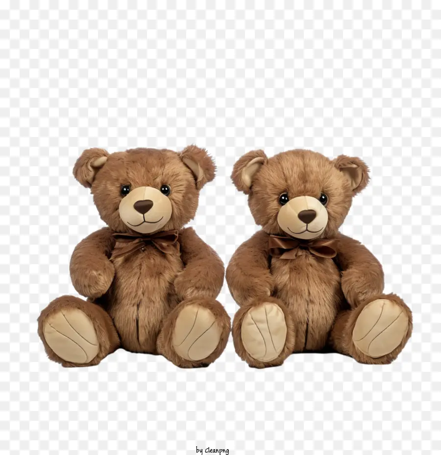 Journée De L'ours En Peluche，Ours En Peluche PNG