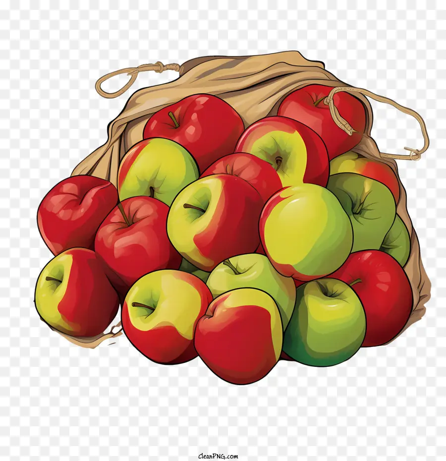 Pommes，Récolte PNG