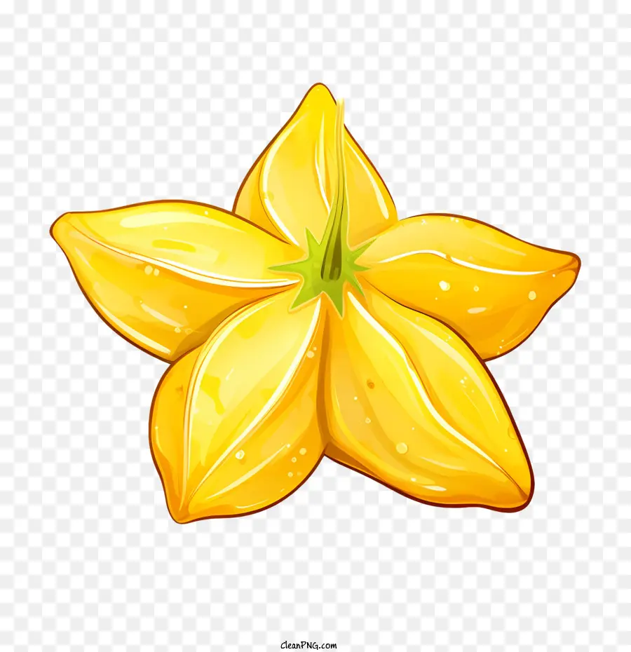 Carambole，Fleur Jaune PNG