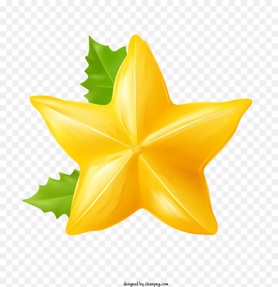 Carambole，étoile De Noël PNG