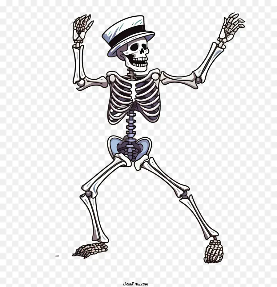 Halloween Squelette，Squelette PNG