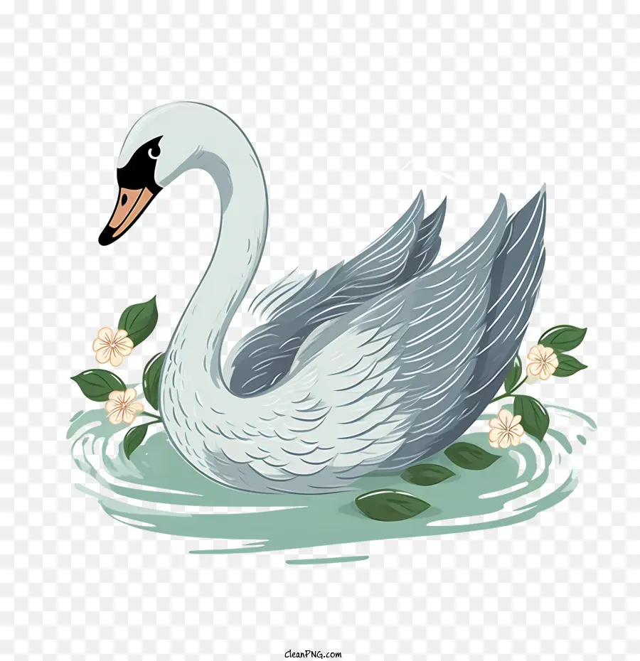 Cygne，Eau PNG