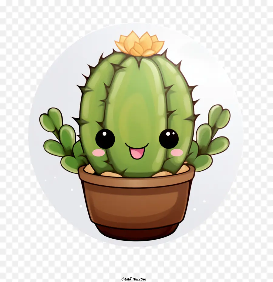 Succulent，Cactus PNG