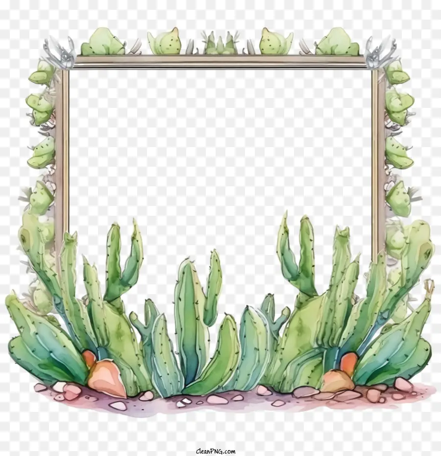 Succulent，Cadre De Cactus PNG