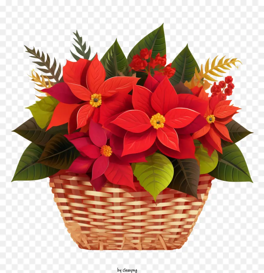 Poinsettia，Panier PNG