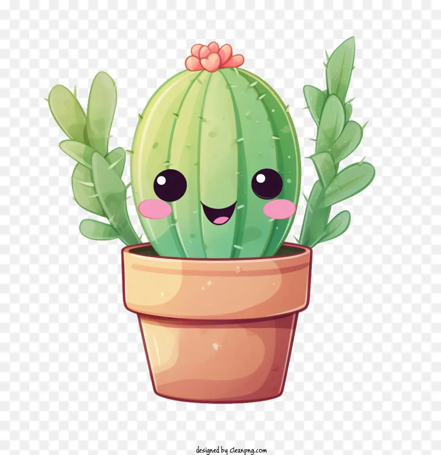 Succulent，Cactus PNG