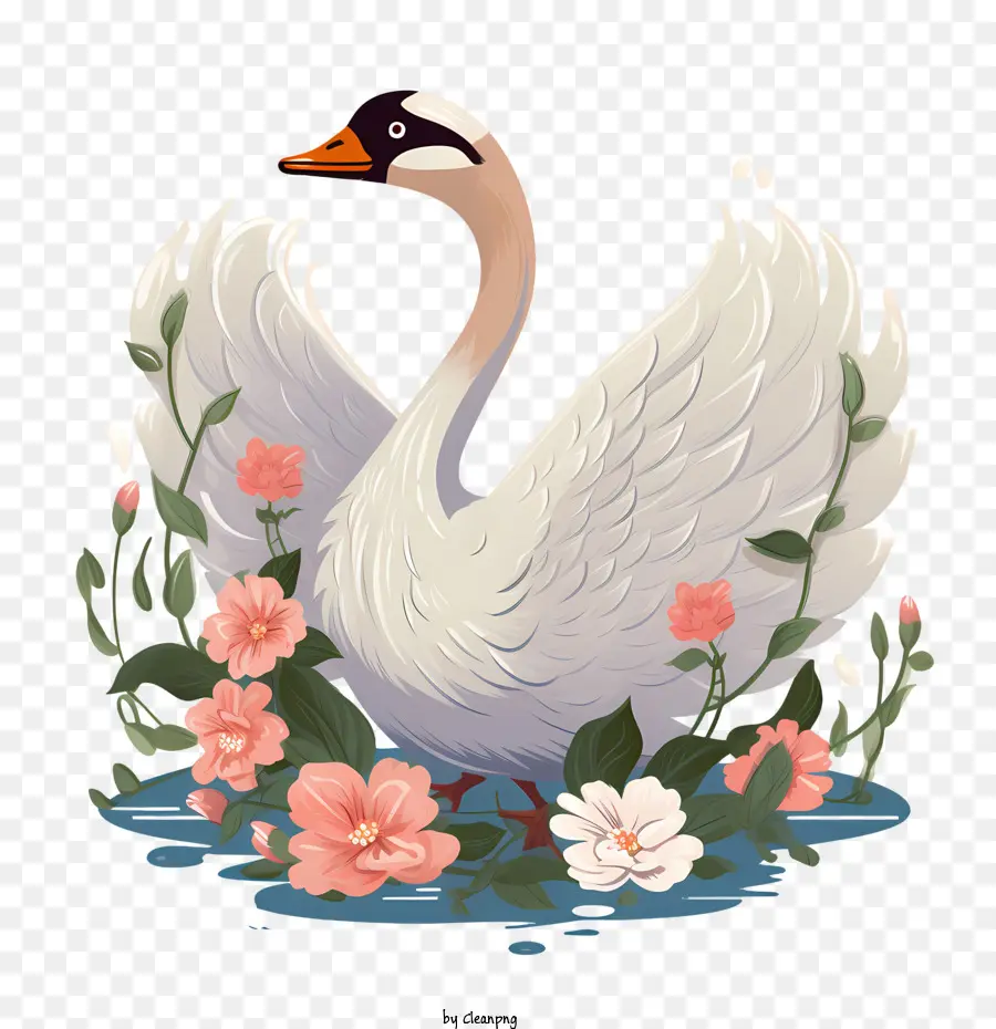 Cygne，Gracieux PNG