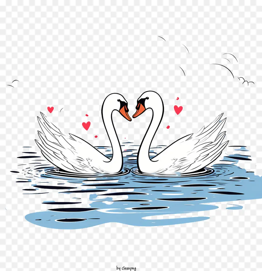 Cygne，Cygnes PNG