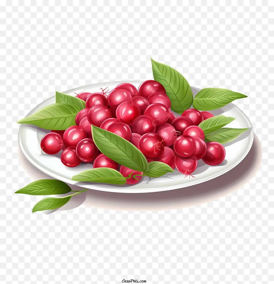 Canneberges Rouges，Fruits Rouges PNG