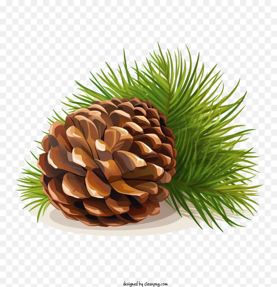 Pomme De Pin，Aiguille De Pin PNG