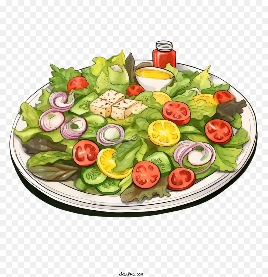 Salade，Laitue PNG
