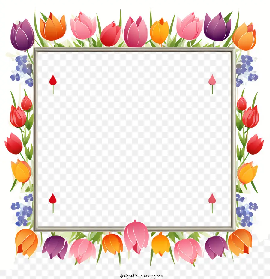 Cadre D'anniversaire，Fleurs Colorées PNG