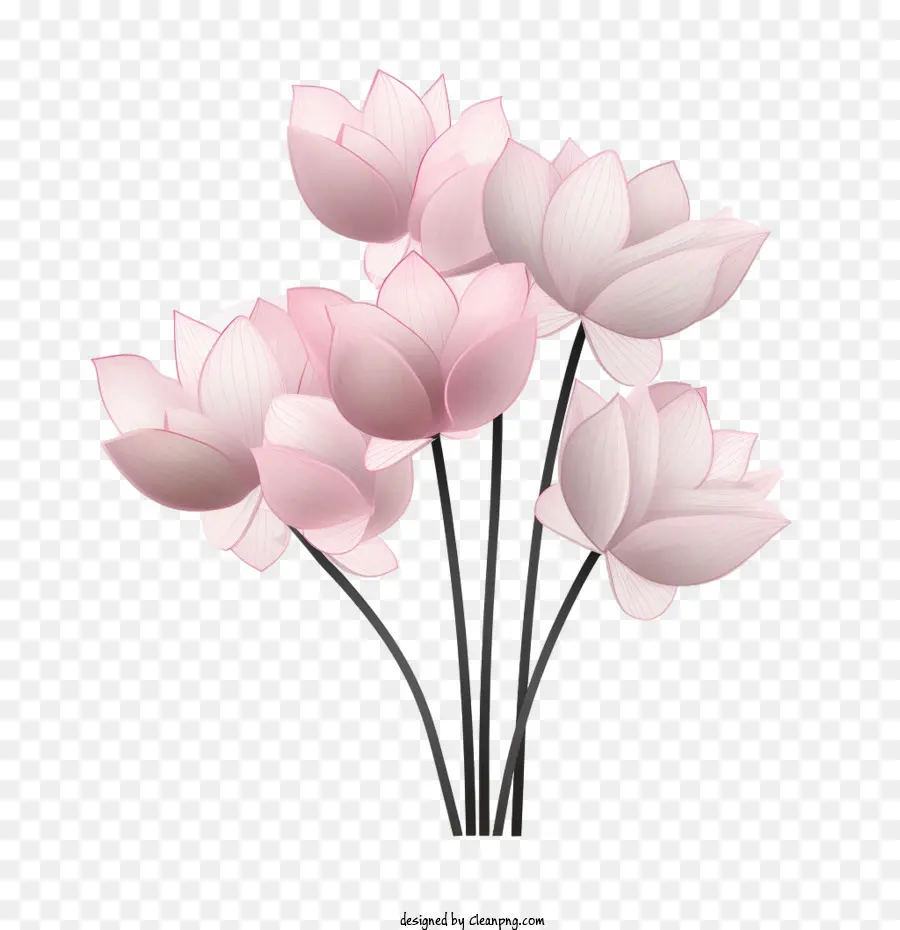 Fleur De Lotus，Fleurs Roses PNG