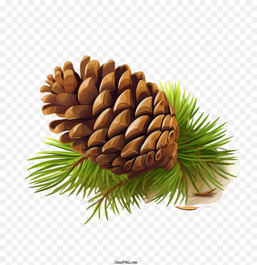 Pomme De Pin，Pin PNG