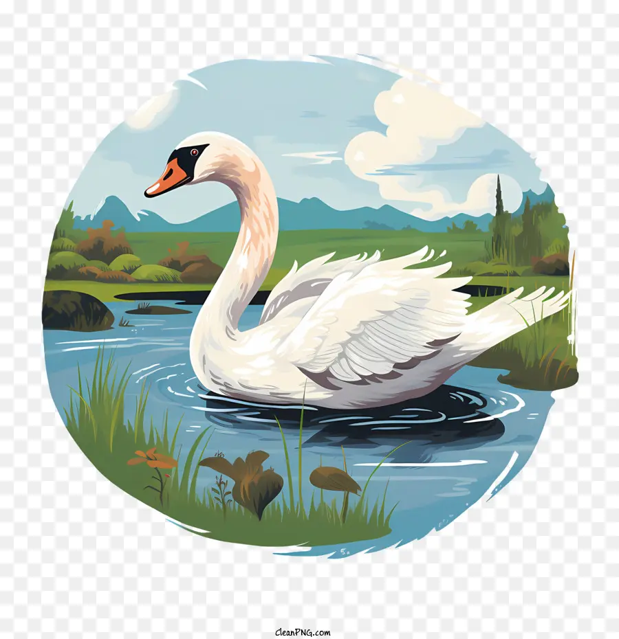 Cygne，Cygne Dans Le Lac PNG