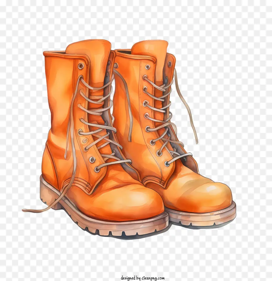 Bottes，Bottes Marron PNG