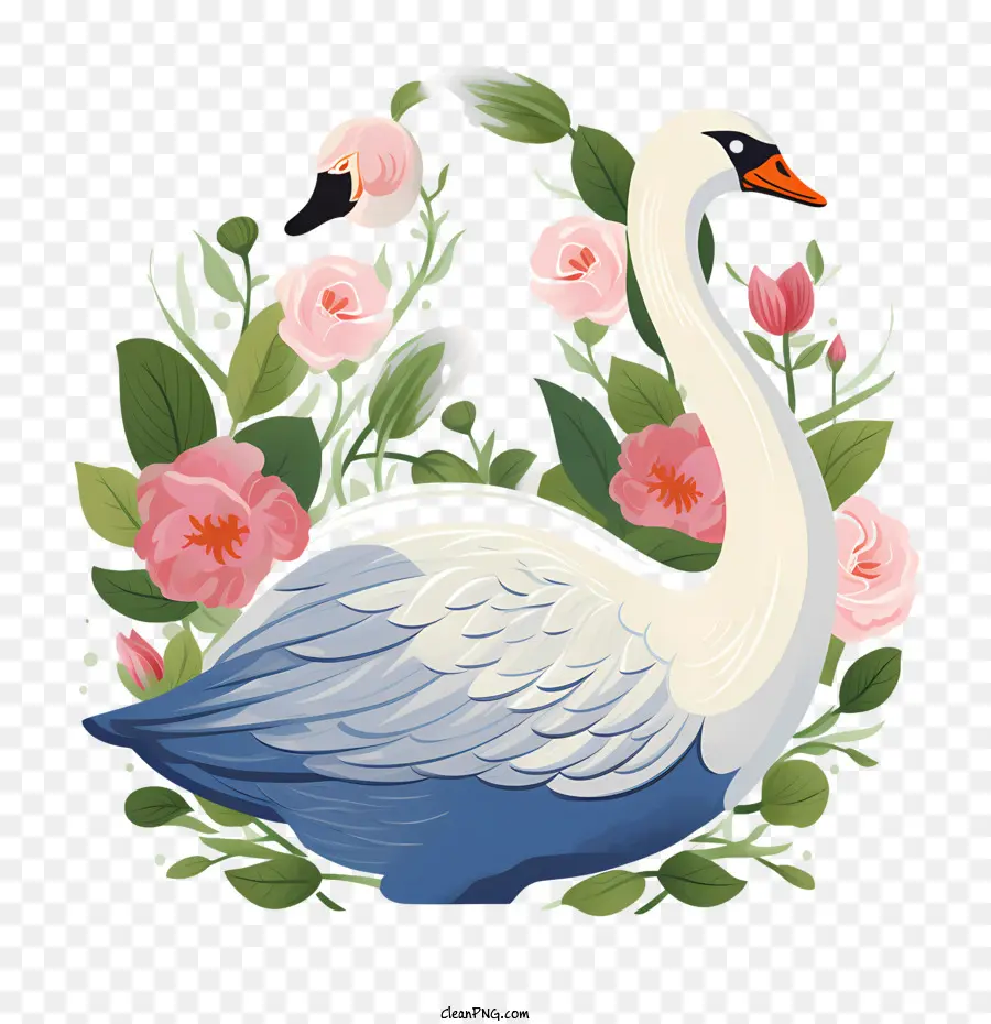 Cygne，Gracieux PNG