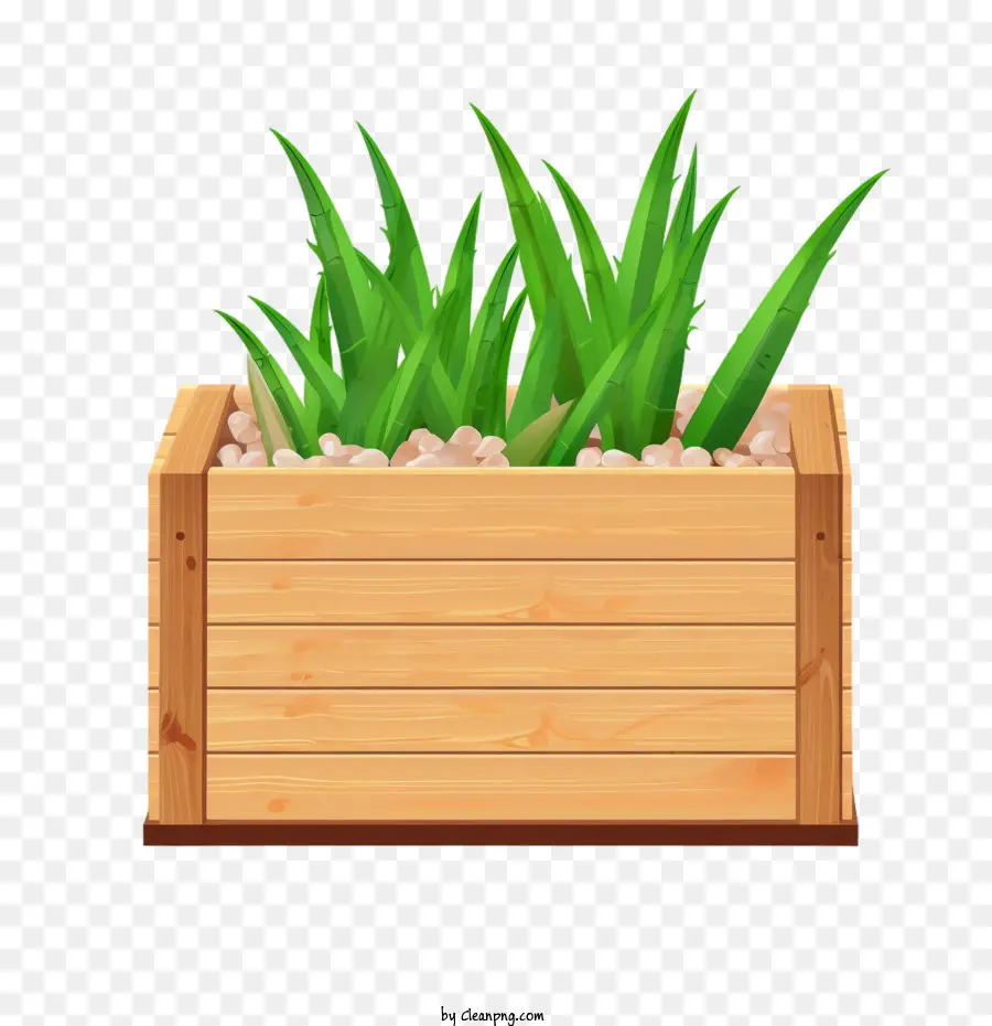 Aloé Vera，Jardinière En Bois PNG