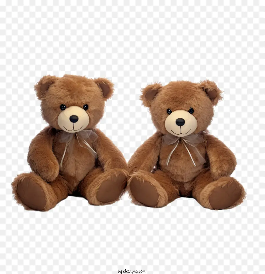 Journée De L'ours En Peluche，Ours En Peluche PNG