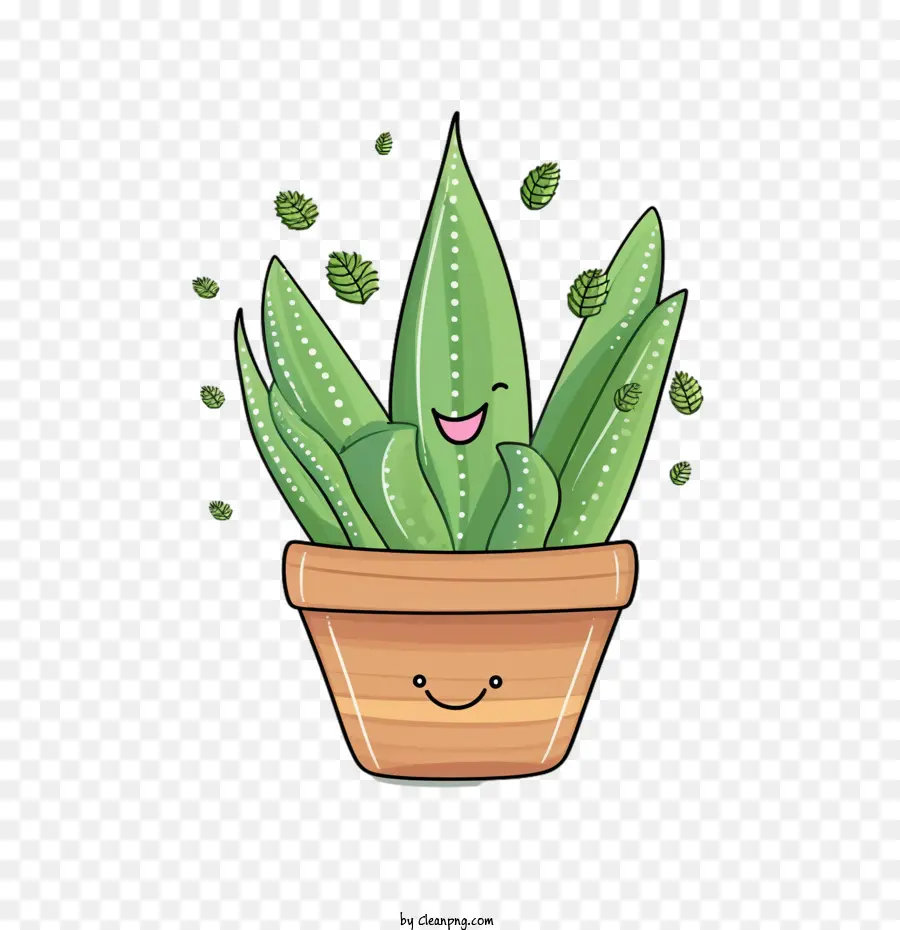 L'aloe Vera，Plante PNG