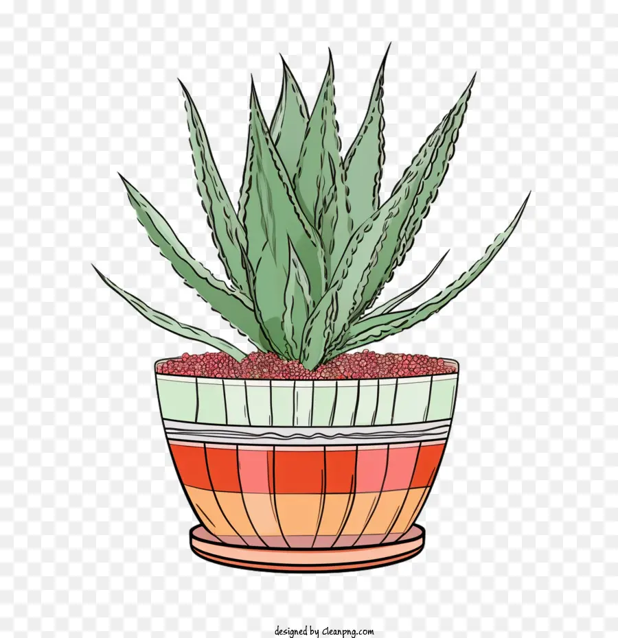 L'aloe Vera，Plante PNG