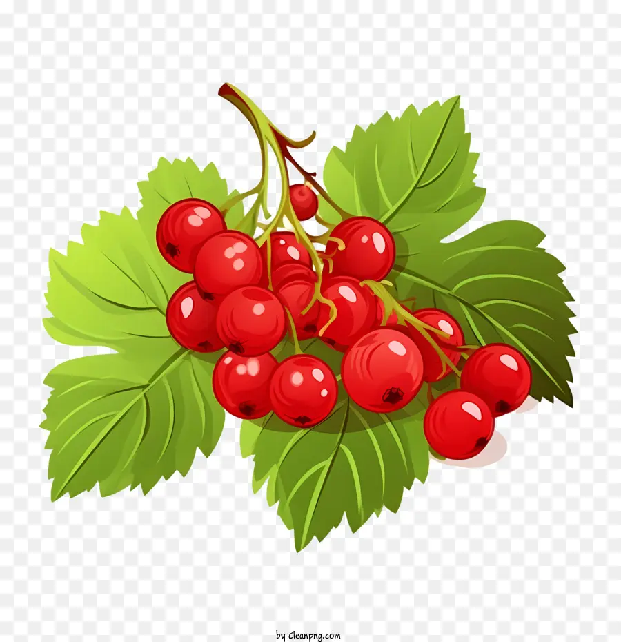 Canneberges Rouges，Framboise PNG