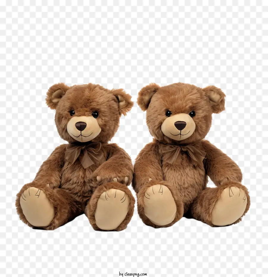 Journée De L'ours En Peluche，Ours En Peluche PNG