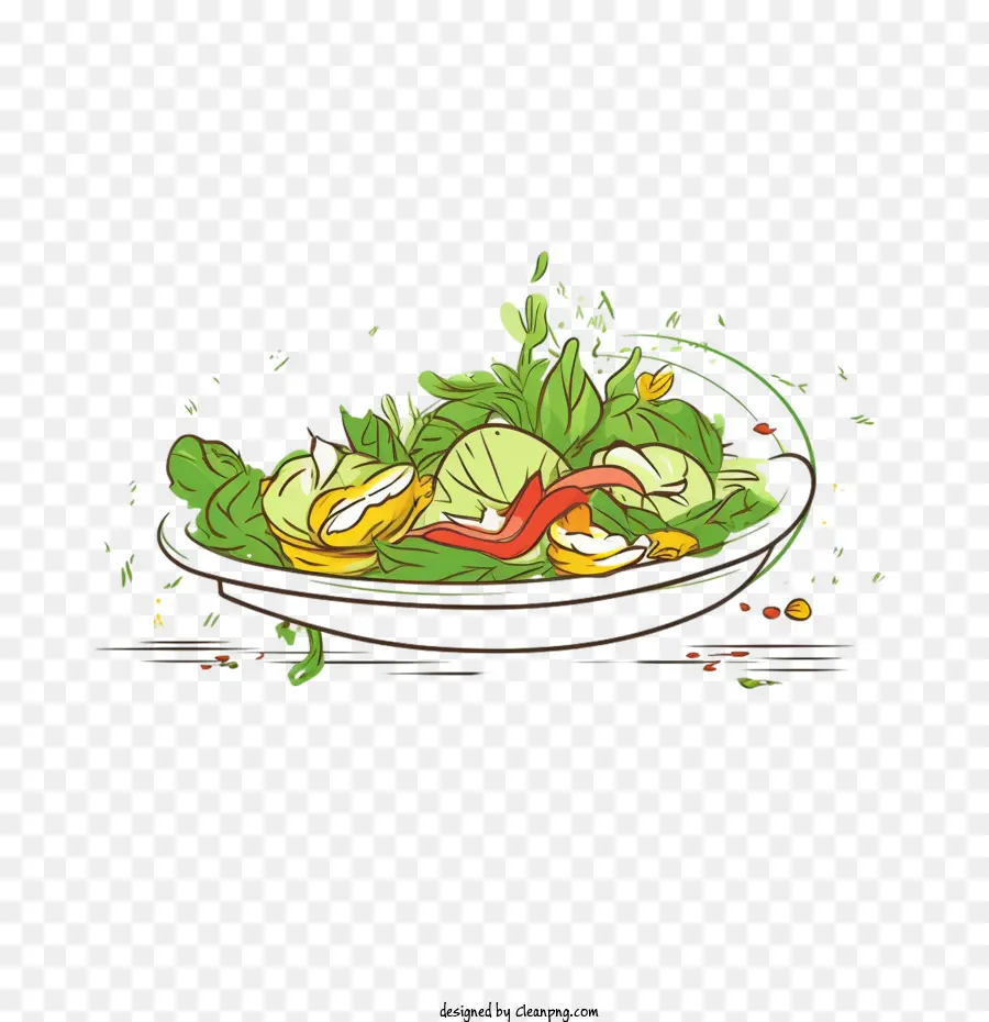 Sketch，Salade PNG