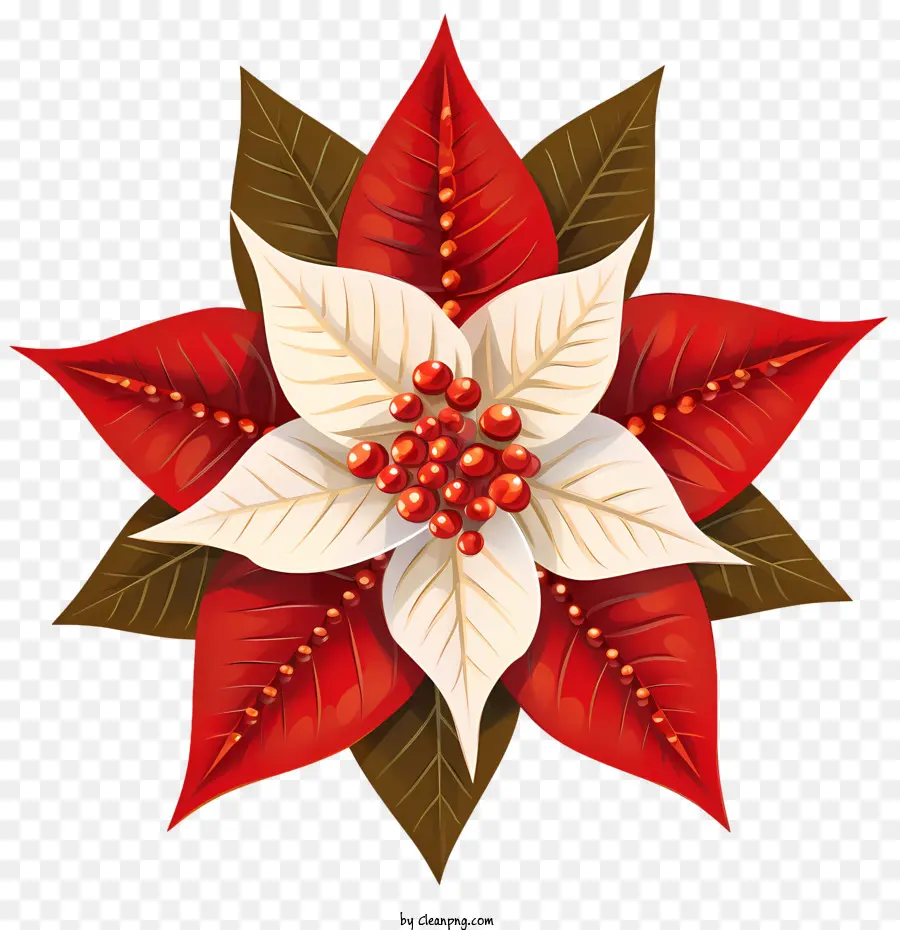 Poinsettia，Poinsettia Rouge PNG