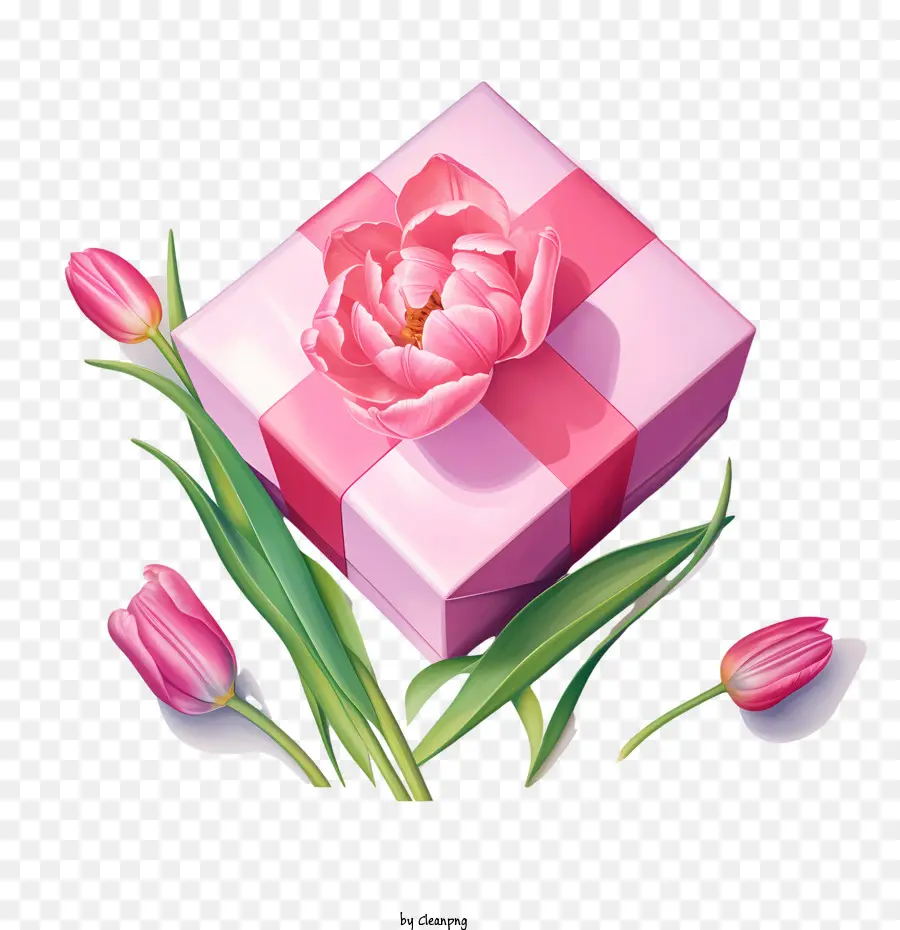 Coffret Rose，Coffret Cadeau PNG