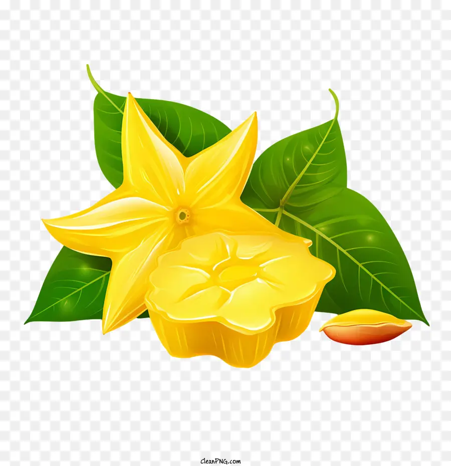 Carambole，Feuilles PNG