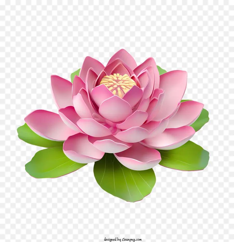 Fleur De Lotus，Lotus Rose PNG