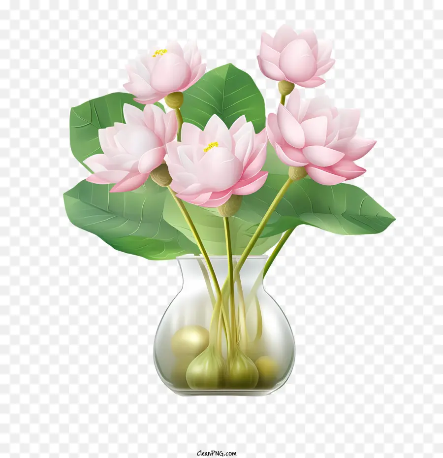 Fleur De Lotus，Fleurs Roses PNG