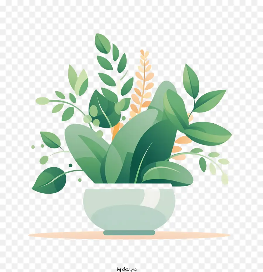 Pot De Fleur，Plantes Vertes PNG