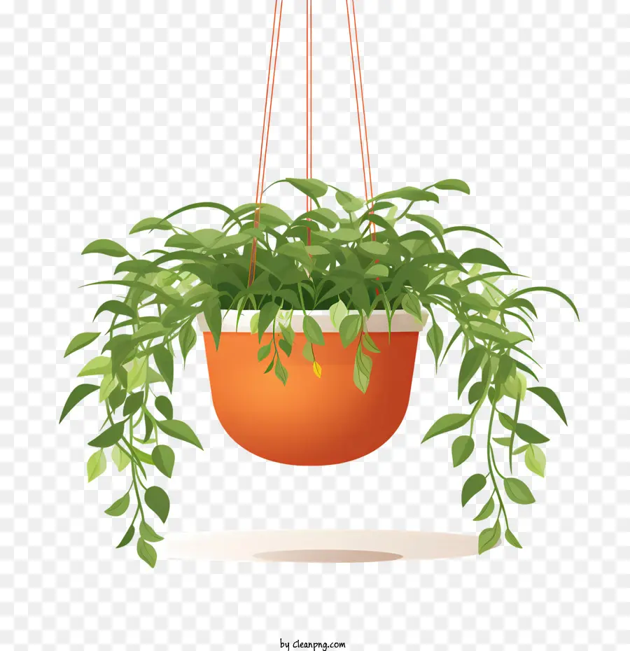 Plante Suspendue Avec Pot，La Pendaison De La Plante PNG