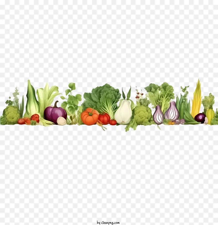 Monde Journée Végétarienne，Légumes Frontière PNG