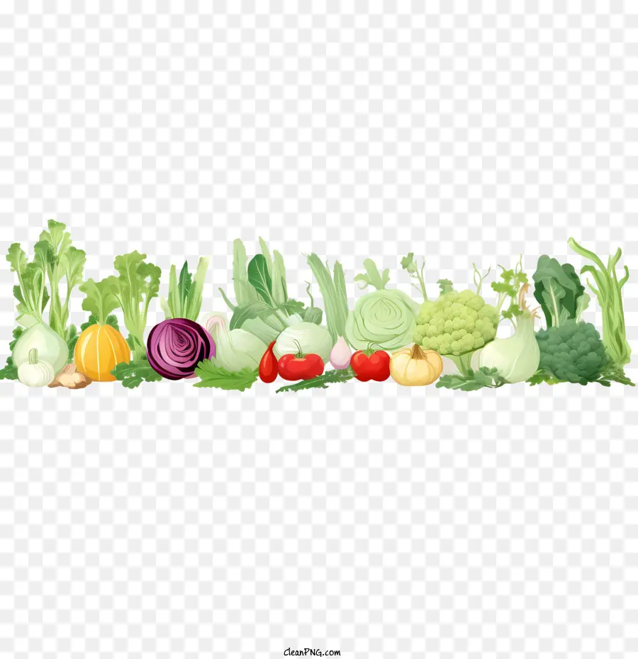 Journée Mondiale Du Végétarien，Bordure De Légumes PNG