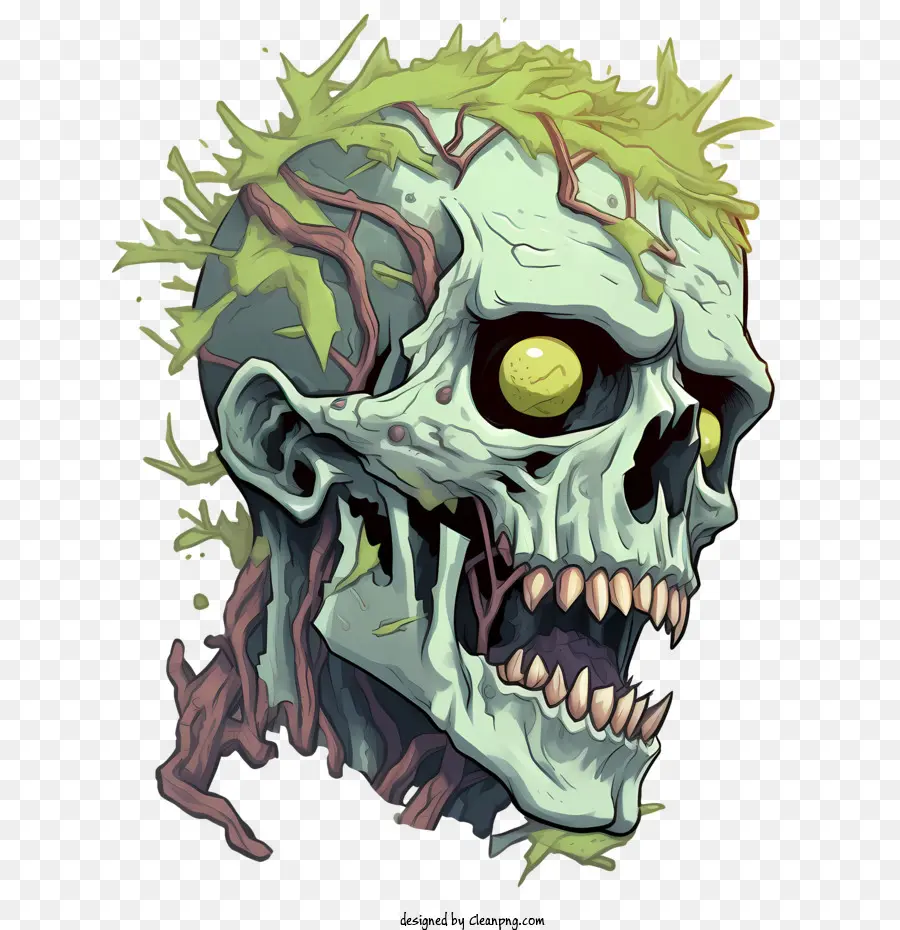 Zombie Crâne，Crâne Illustration PNG