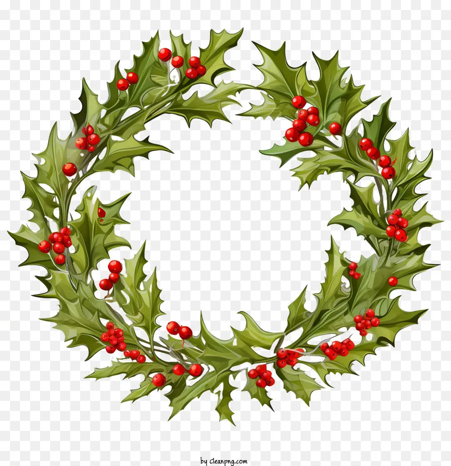 Couronne De Houx De Noël，Le Houx PNG