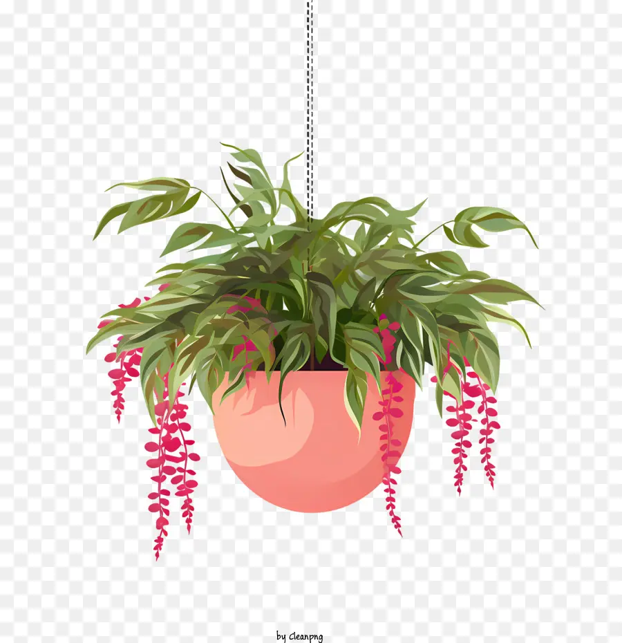 Plante Suspendue Avec Pot，Plante En Pot PNG