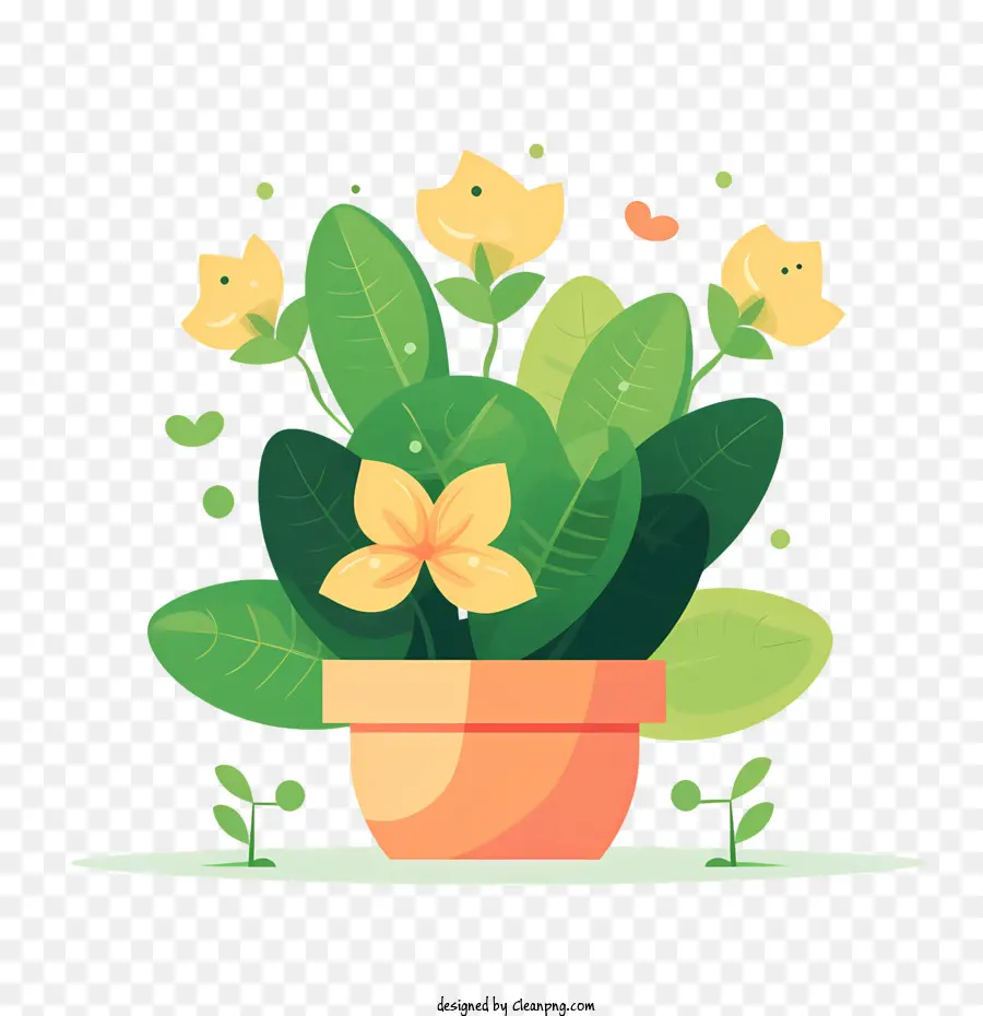 Pot De Fleur，Plante En Pot PNG