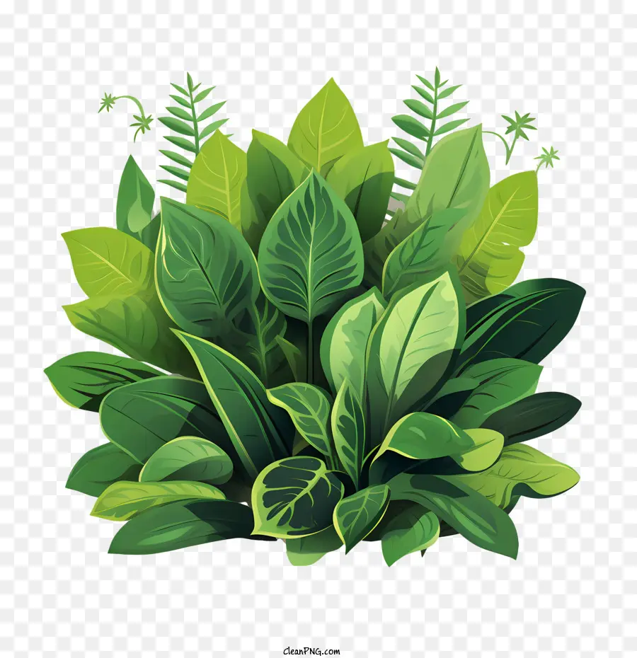 Plante Verte，Feuilles Vertes PNG