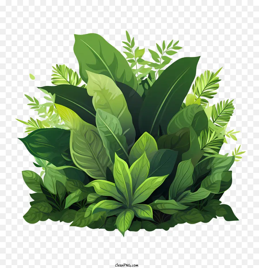 Plante Verte，Jungle PNG