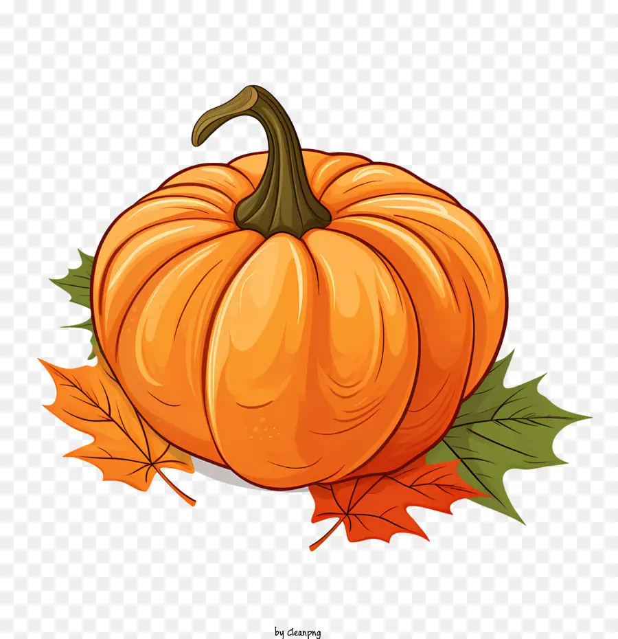 Automne Les Citrouilles，Schéma De Couleurs D'automne PNG