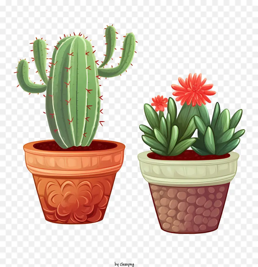 Cactus，Cactus Avec Des Fleurs PNG