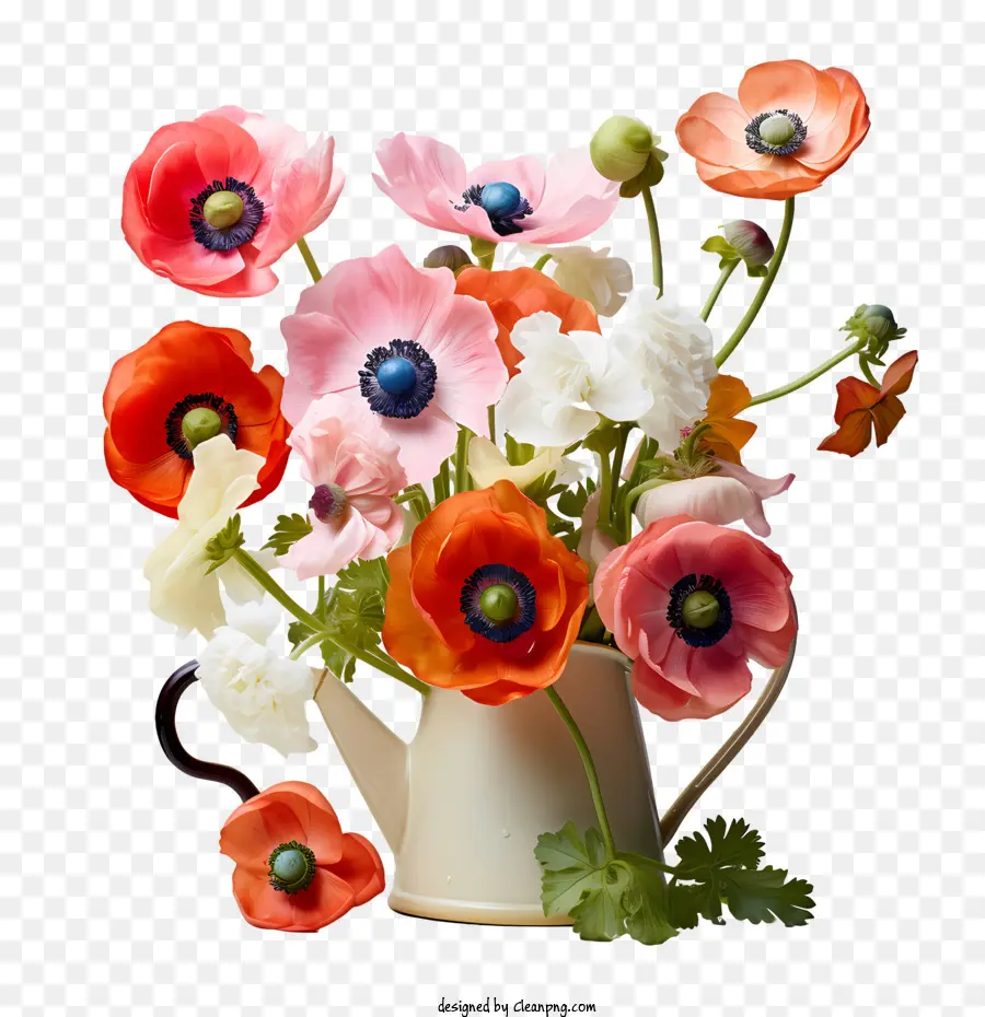 Anémone Fleur，Fleur PNG