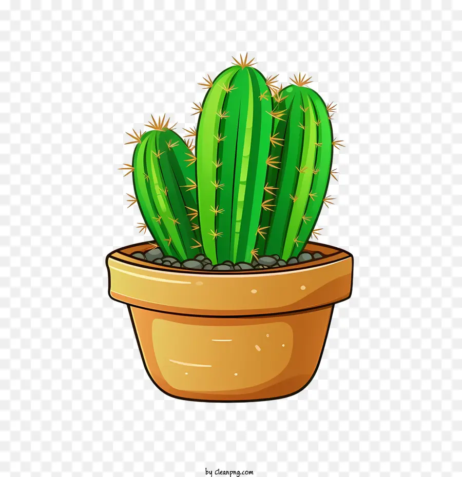 Cactus，Plante PNG