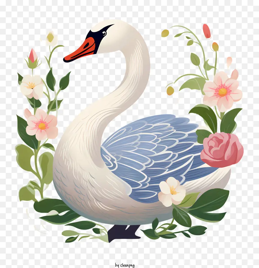 Cygne，Gracieux PNG