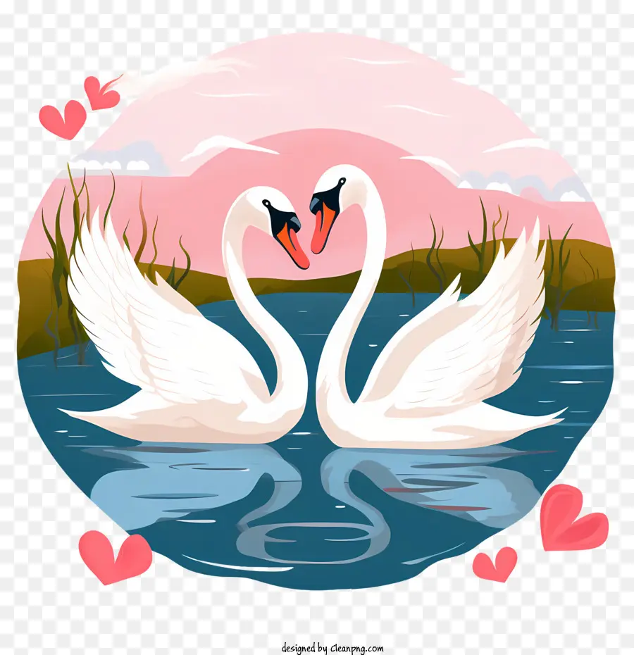 Cygne，Cygnes Amoureux PNG