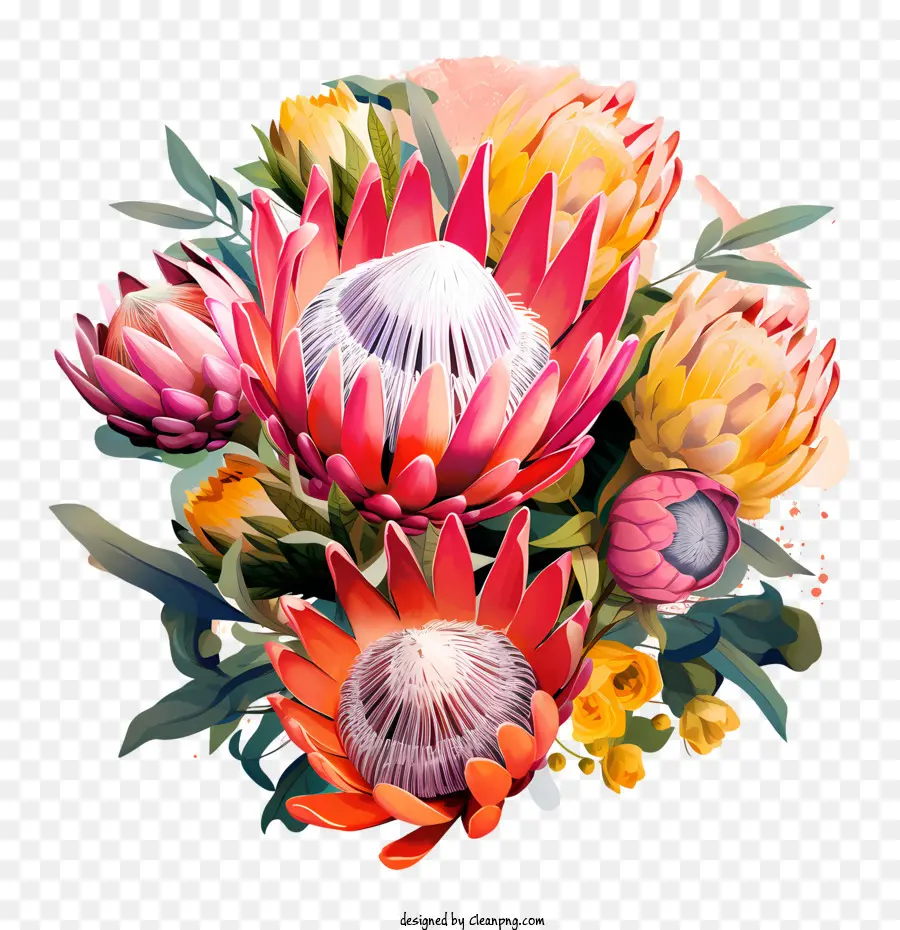 Protea Fleur，Contenu D'image PNG